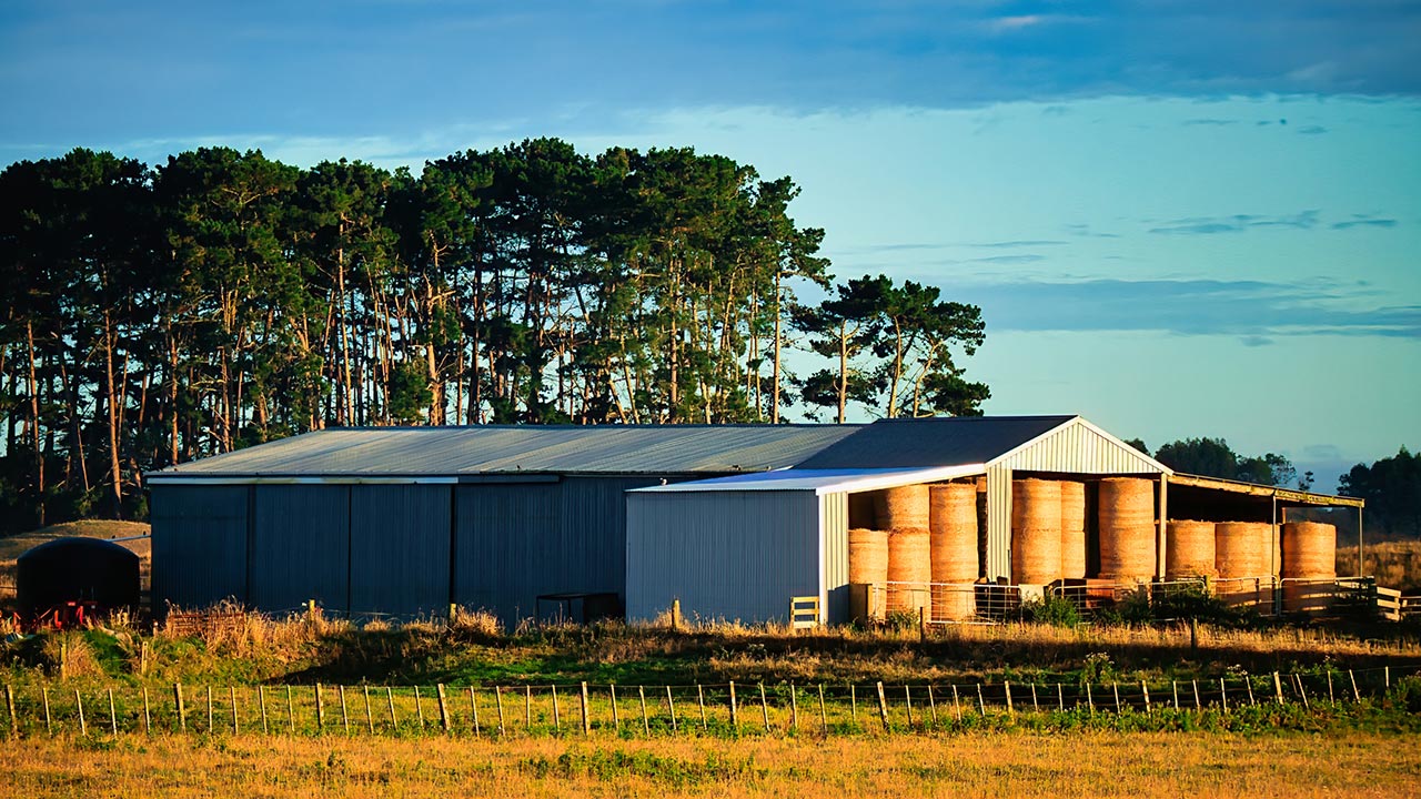 New Zealand poultry production shed
